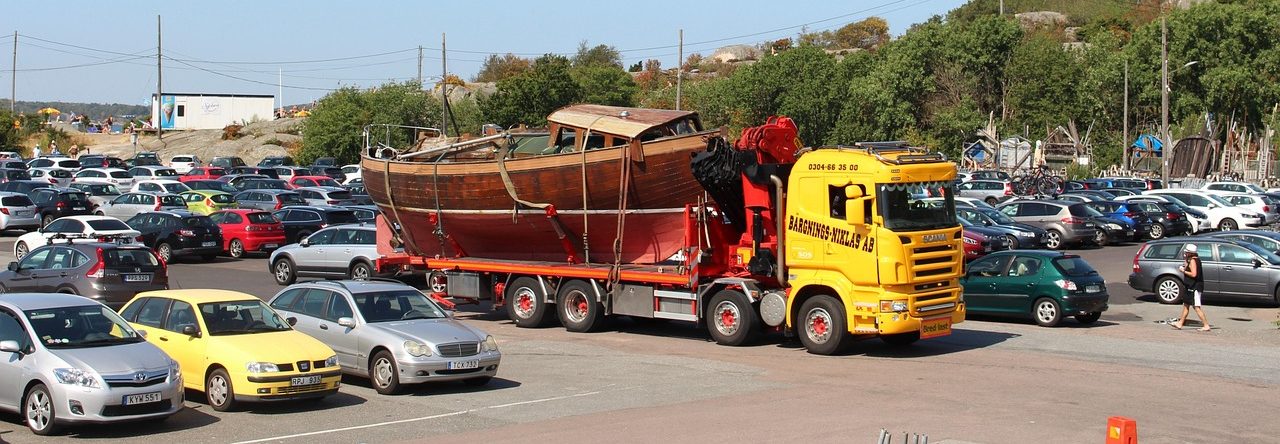 Organizational Structure and Governance